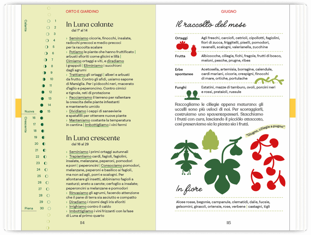 Barbanera Almanacco 2026 - un anno di felicità