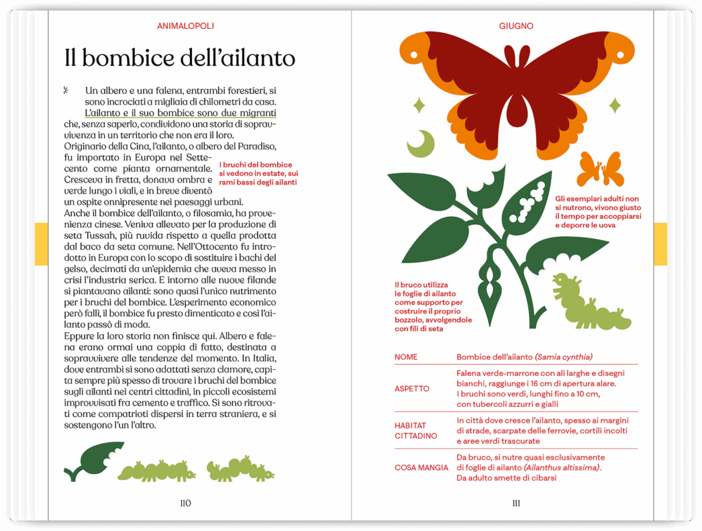 Barbanera Almanacco 2026 - un anno di felicità