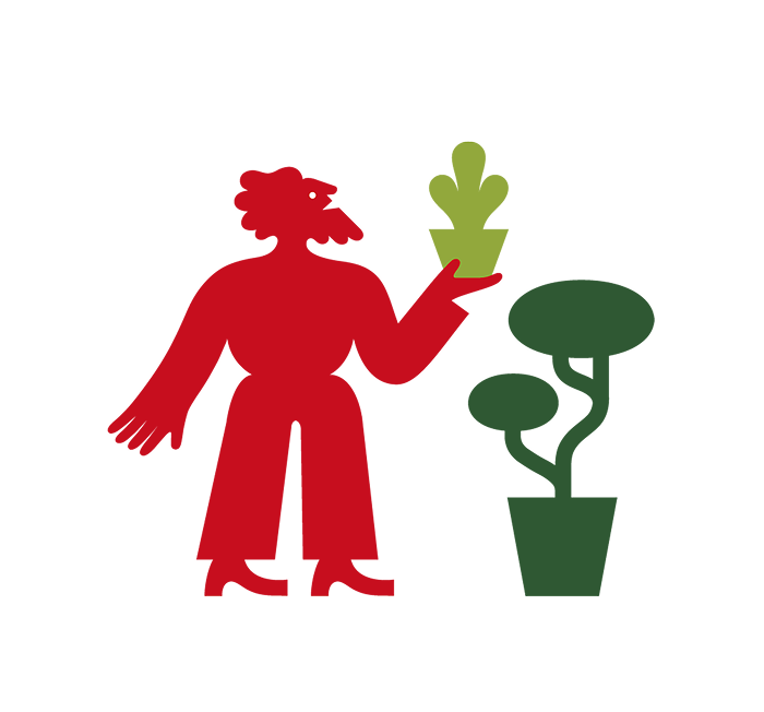 Orto e giardino