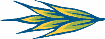 decoro-1